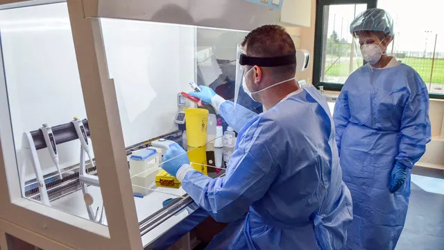 Следващата пандемия?:„Говежди грип“ и кучешки коронавирус вече заразява и хора