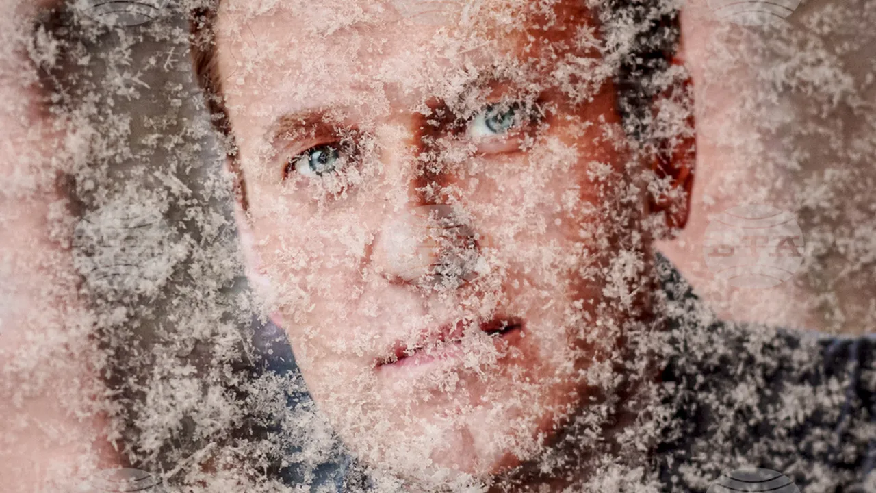 Пет европейски държави: Навални е бил отровен