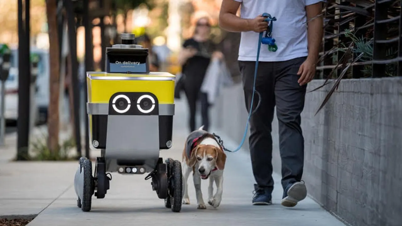 Защо хората ритат роботите, които им носят вечерята? Историята зад тихата война по тротоарите