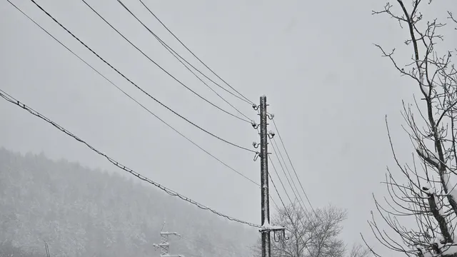 Проблеми с тока в седем от осем общини в Ловешко