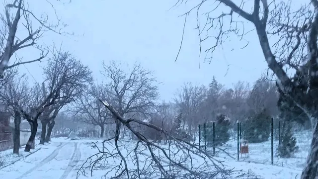 Вятър със скорост 100 км/ч предизвика електрически аварии в Сливен