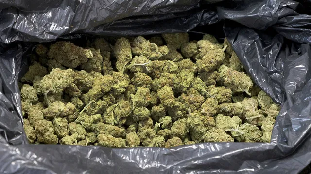 Полицейска акция: 600 грама марихуана в Разлог и арестуван чужденец в Банско