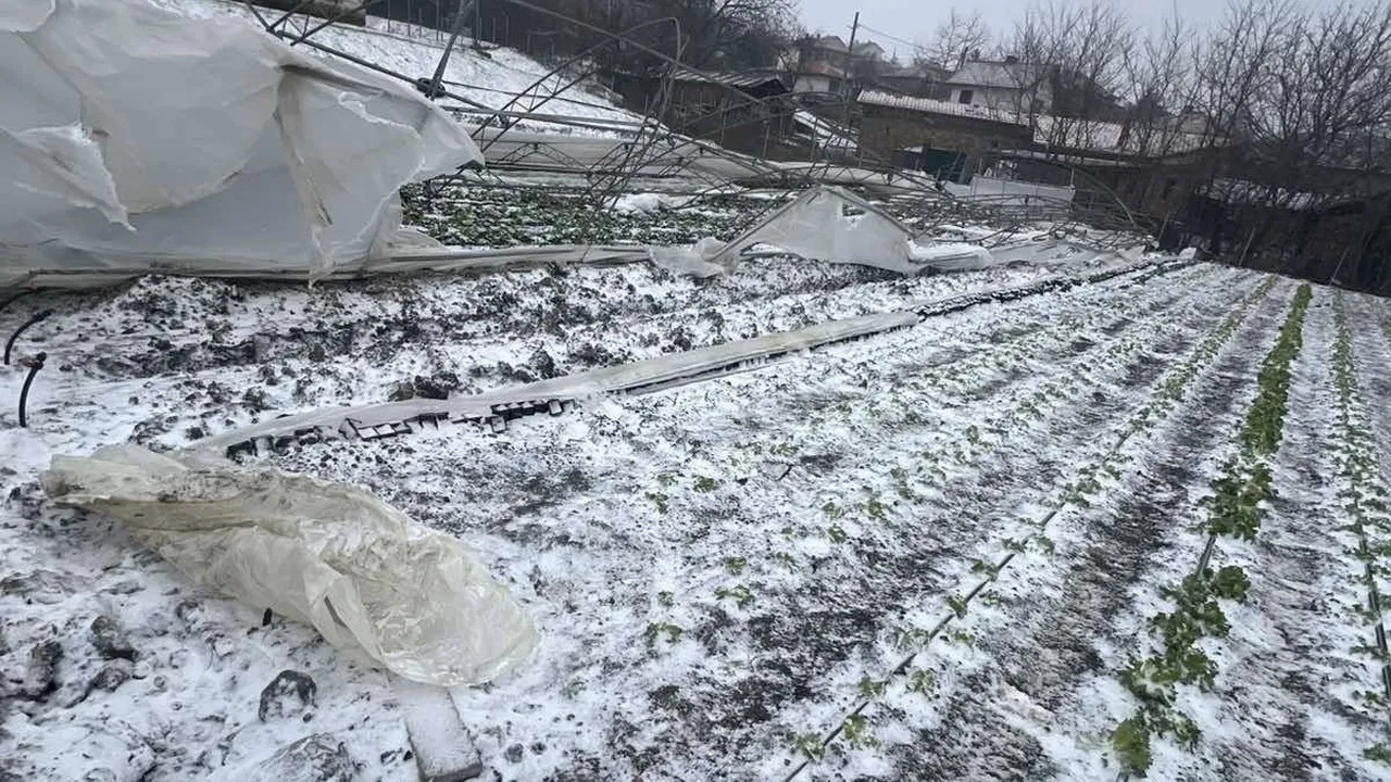 Силен вятър и лед унищожиха общинските оранжерии край Казанлък