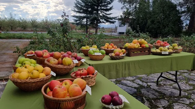 След сигнал: КЗК проверява сектор плодове и зеленчуци