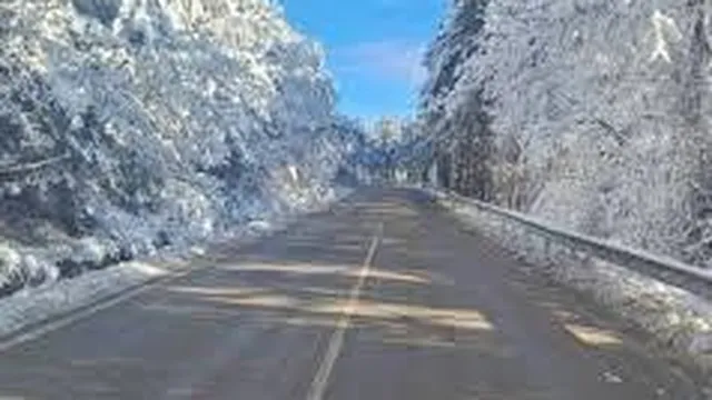 Пътна обстановка в България – 19 февруари