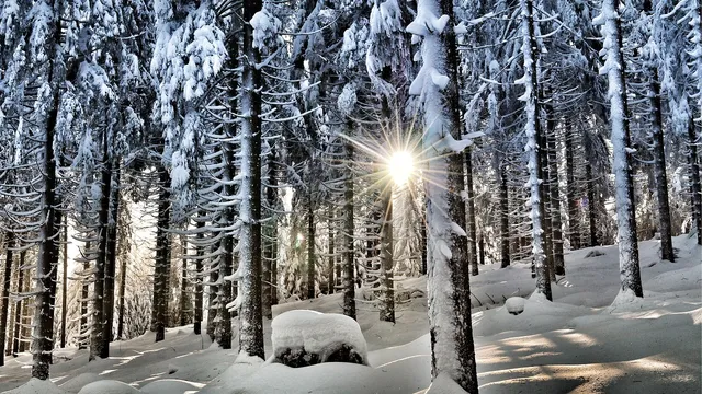 Оранжев и жълт код за снеговалежи и виелици в 20 области на 21 февруари