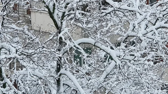 Оранжев код за девет области заради дъжд и сняг