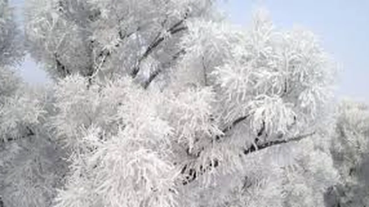 Прогноза за времето в България – понеделник, 23 февруари