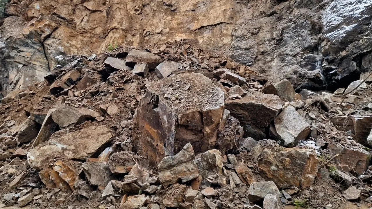 Свлачище ограничи движението по пътя за Свищов