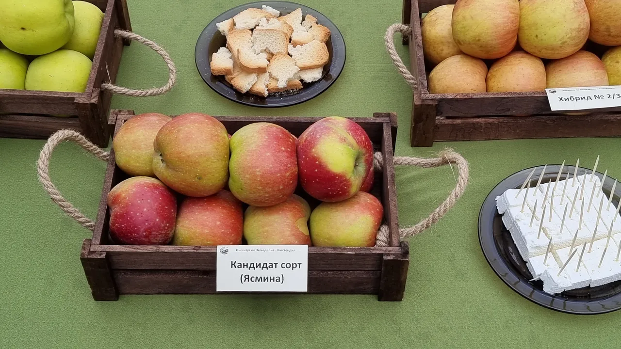 Икономисти препоръчват увеличаване максималния размер на ваучерите за храна до 150 евро