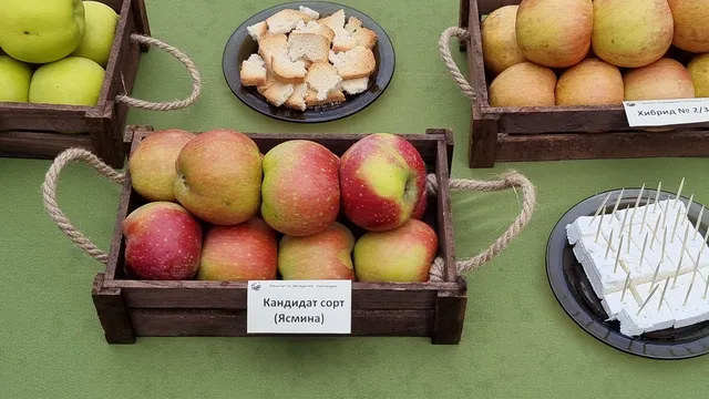 Икономисти препоръчват увеличаване максималния размер на ваучерите за храна до 150 евро