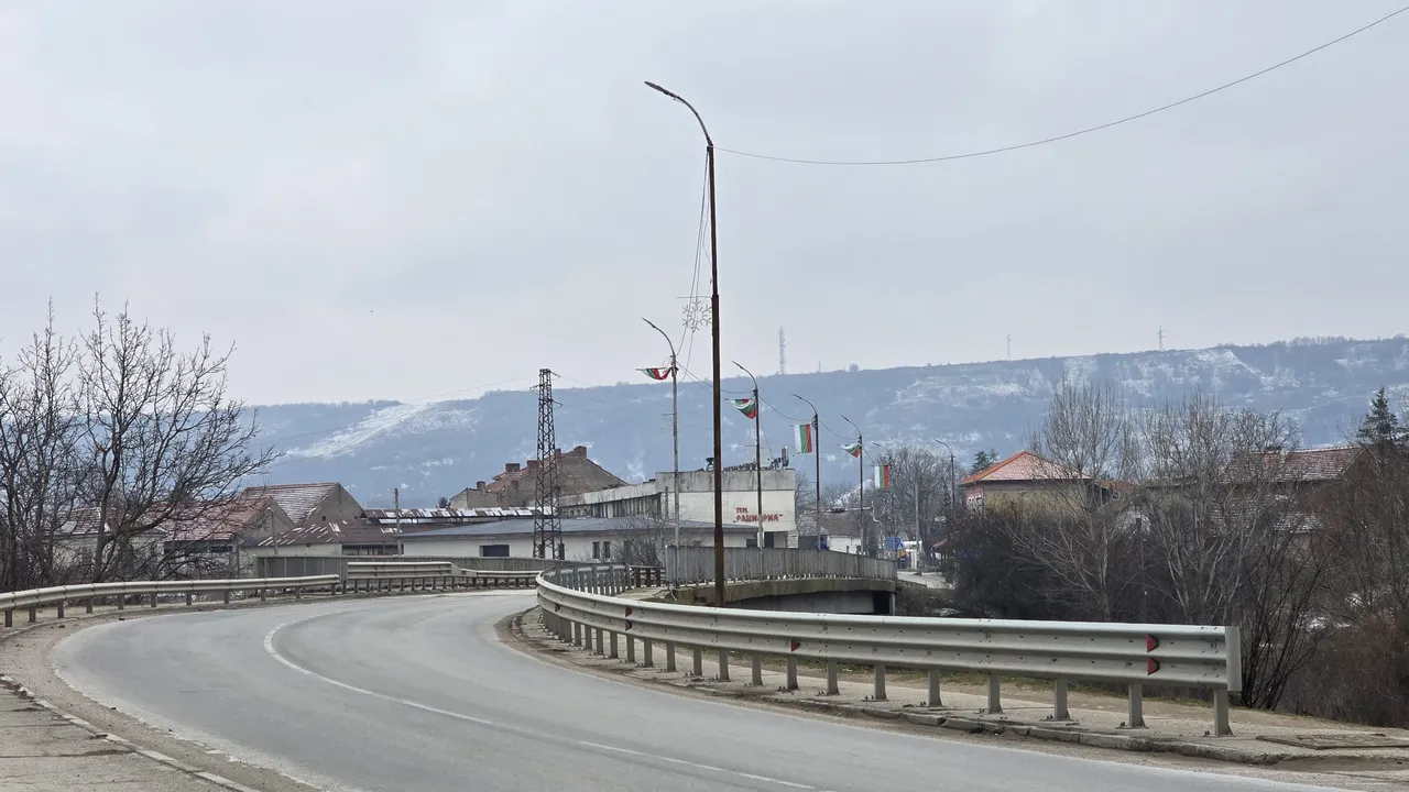 Две мъртви кучета откриха на брега на Дунав