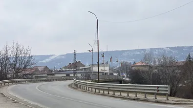 Две мъртви кучета откриха на брега на Дунав