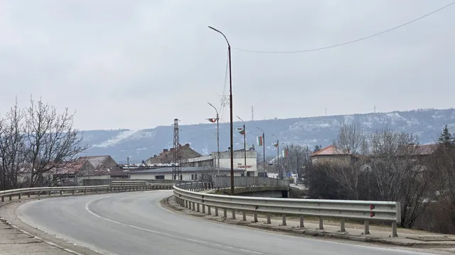 Две мъртви кучета откриха на брега на Дунав