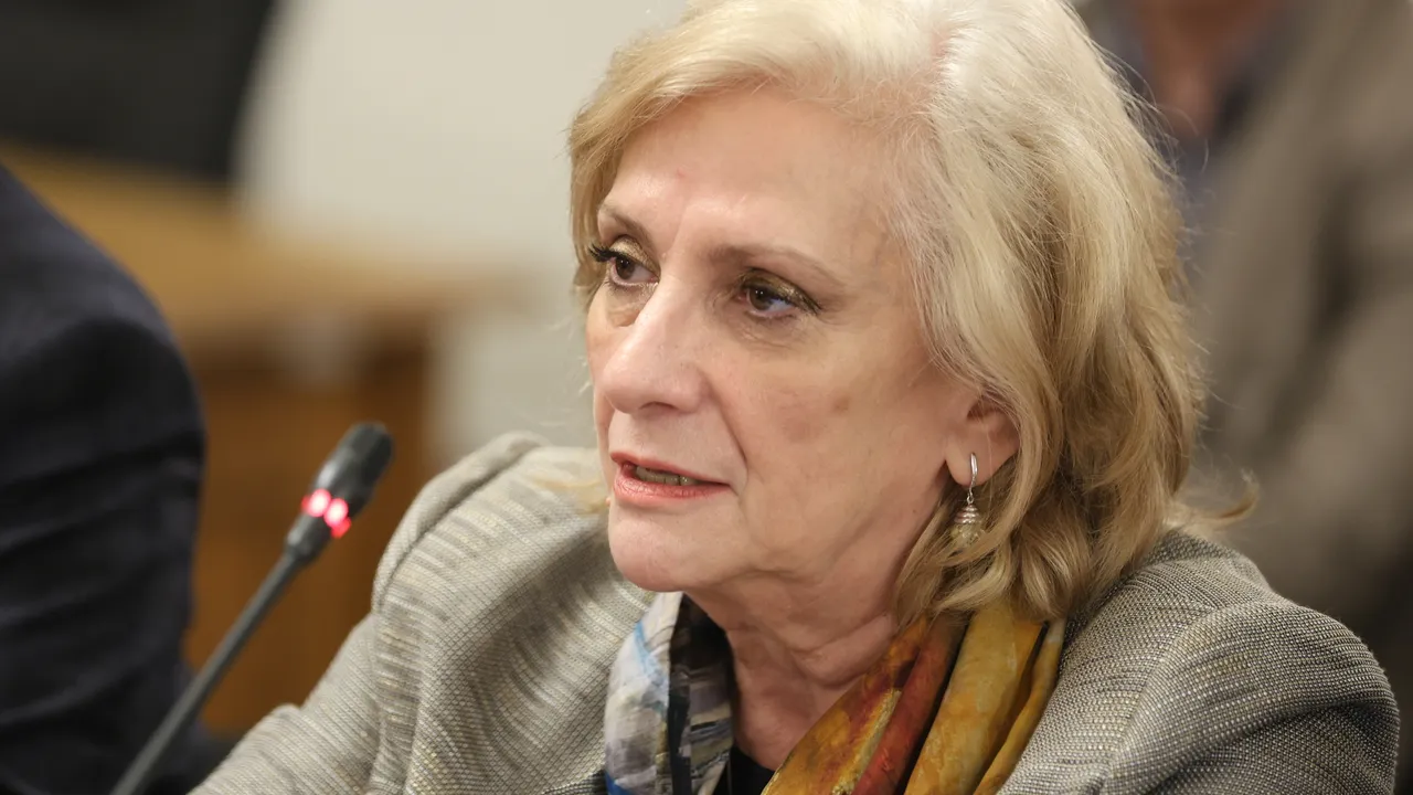 „ДПС – Ново начало“ за ветото: Заради шум в залата трима депутати са допуснали грешка при вота