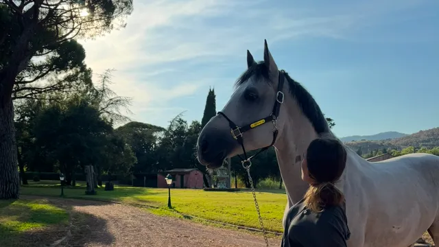 Тодоровден: Конският Великден и древната връзка на българина с коня
