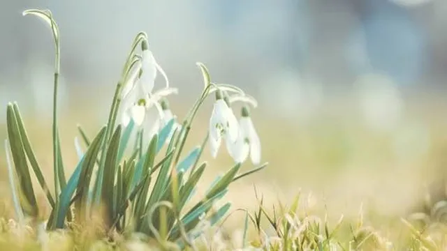 Прогноза за времето в България – неделя, 1 март