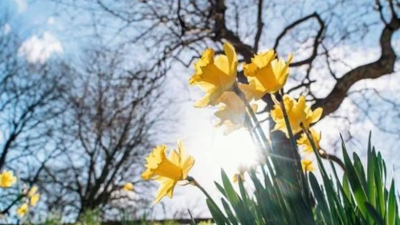 Прогноза за времето в България – понеделник, 2 март