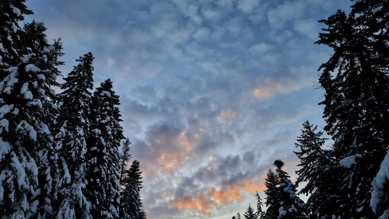Планински спасители помогнаха на туристи заради заледени пътеки на Витоша
