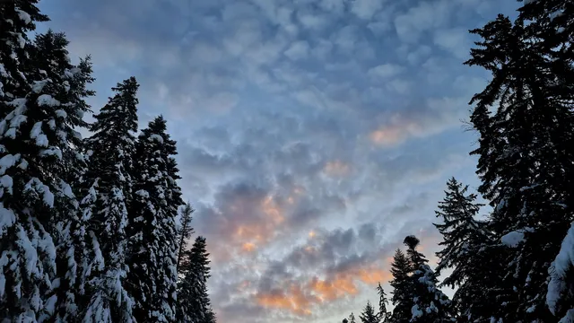 Планински спасители помогнаха на туристи заради заледени пътеки на Витоша