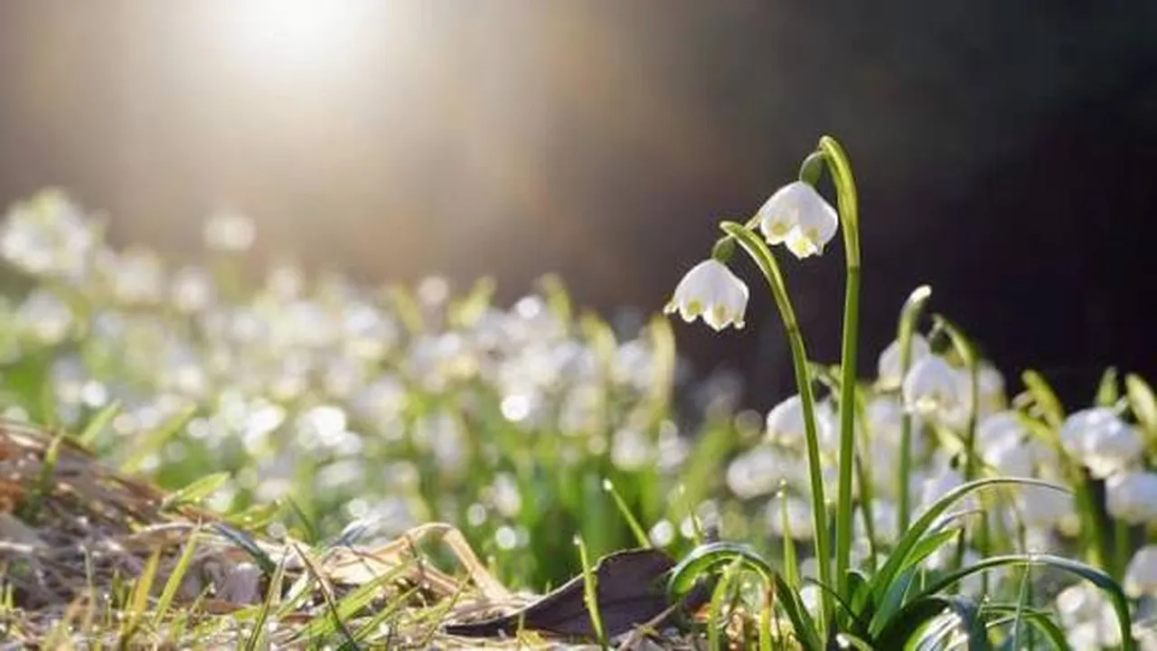Прогноза за времето в България – петък, 6 март