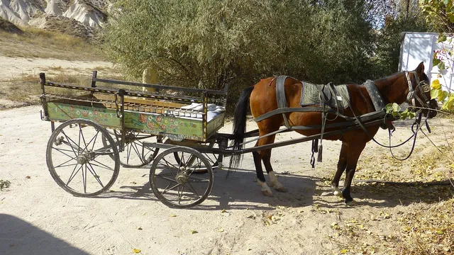 Кон с каруца блъсна жена на пешеходна пътека