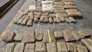 Над 45 кг марихуана за над 370 000 евро откриха на ГКПП „Капитан Андреево“