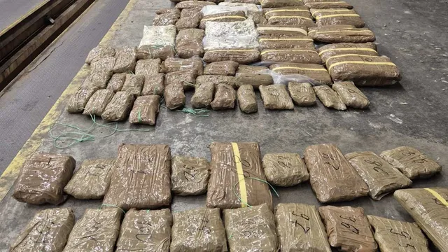 Над 45 кг марихуана за над 370 000 евро откриха на ГКПП „Капитан Андреево“