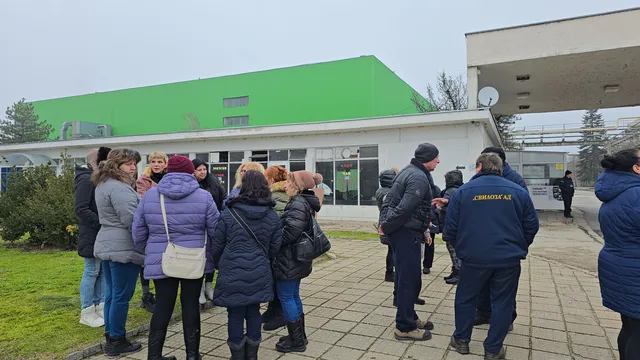 България е сред страните с най-голям растеж на заетостта в края на 2025 г.