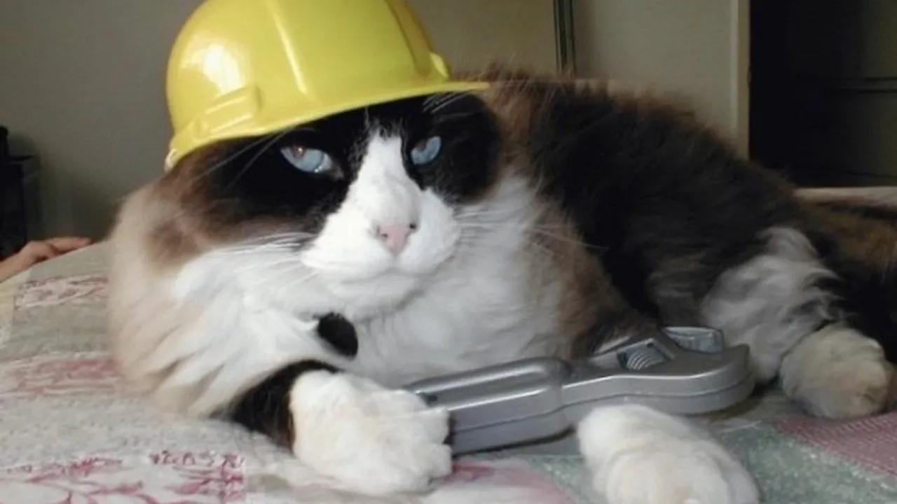 Петък – ден на майстора: откъде идва този израз?