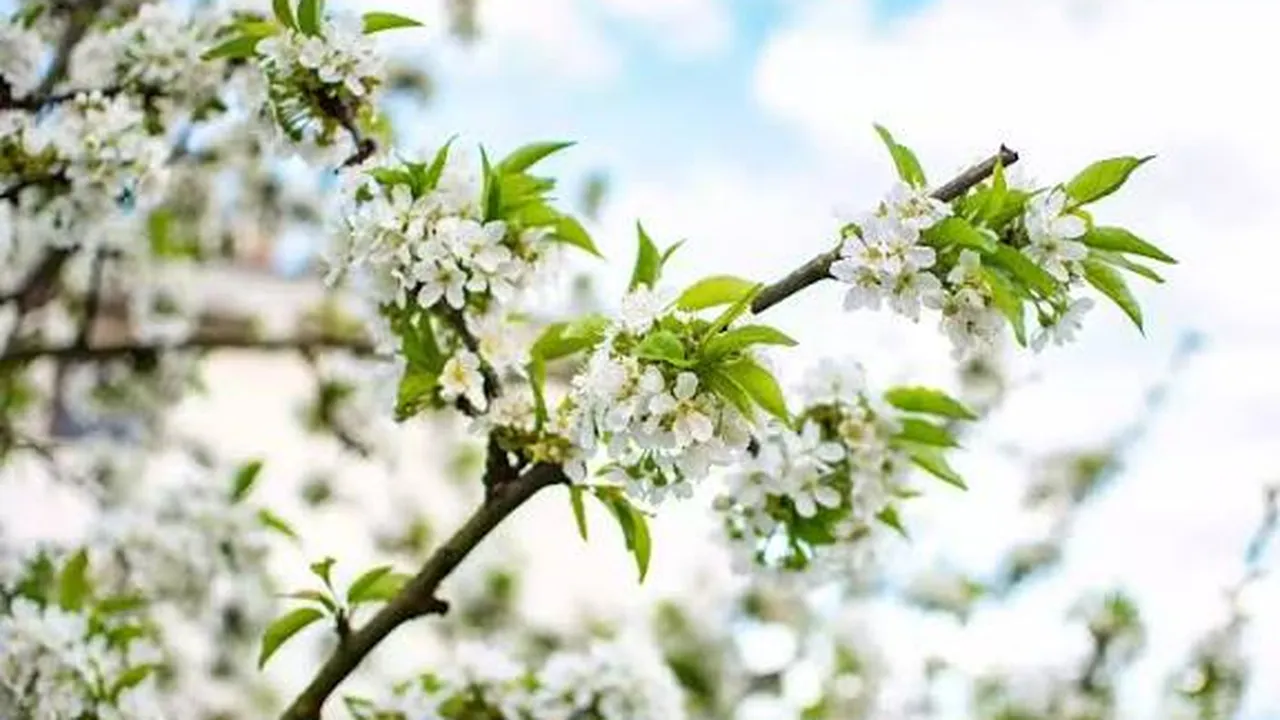 Прогноза за времето в България – събота, 7 март