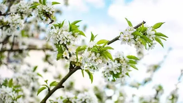 Прогноза за времето в България – събота, 7 март