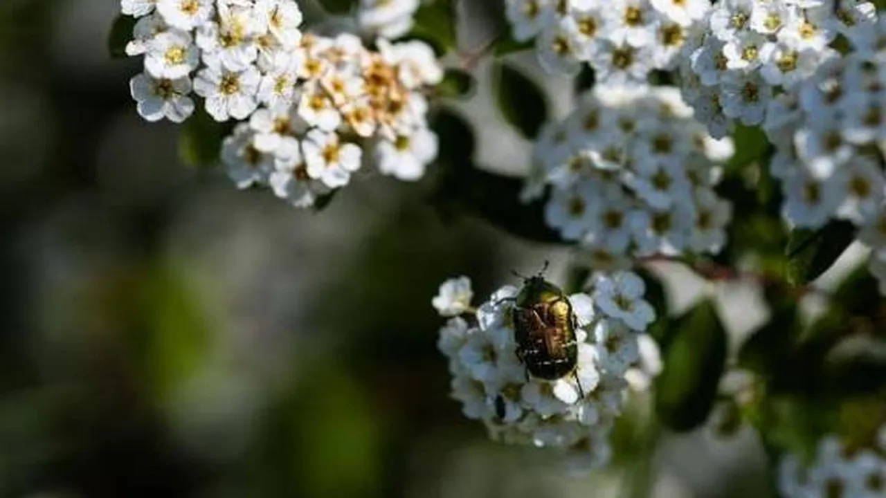 Прогноза за времето в България – неделя, 8 март