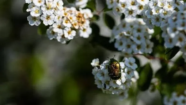 Прогноза за времето в България – неделя, 8 март