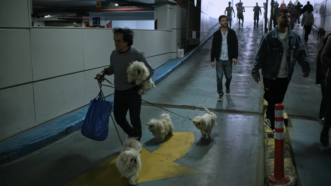 Сирени за въздушна тревога се задействаха в Северен и Южен Израел