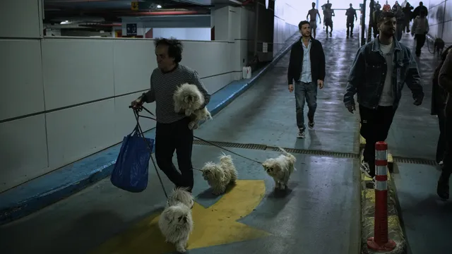 Сирени за въздушна тревога се задействаха в Северен и Южен Израел