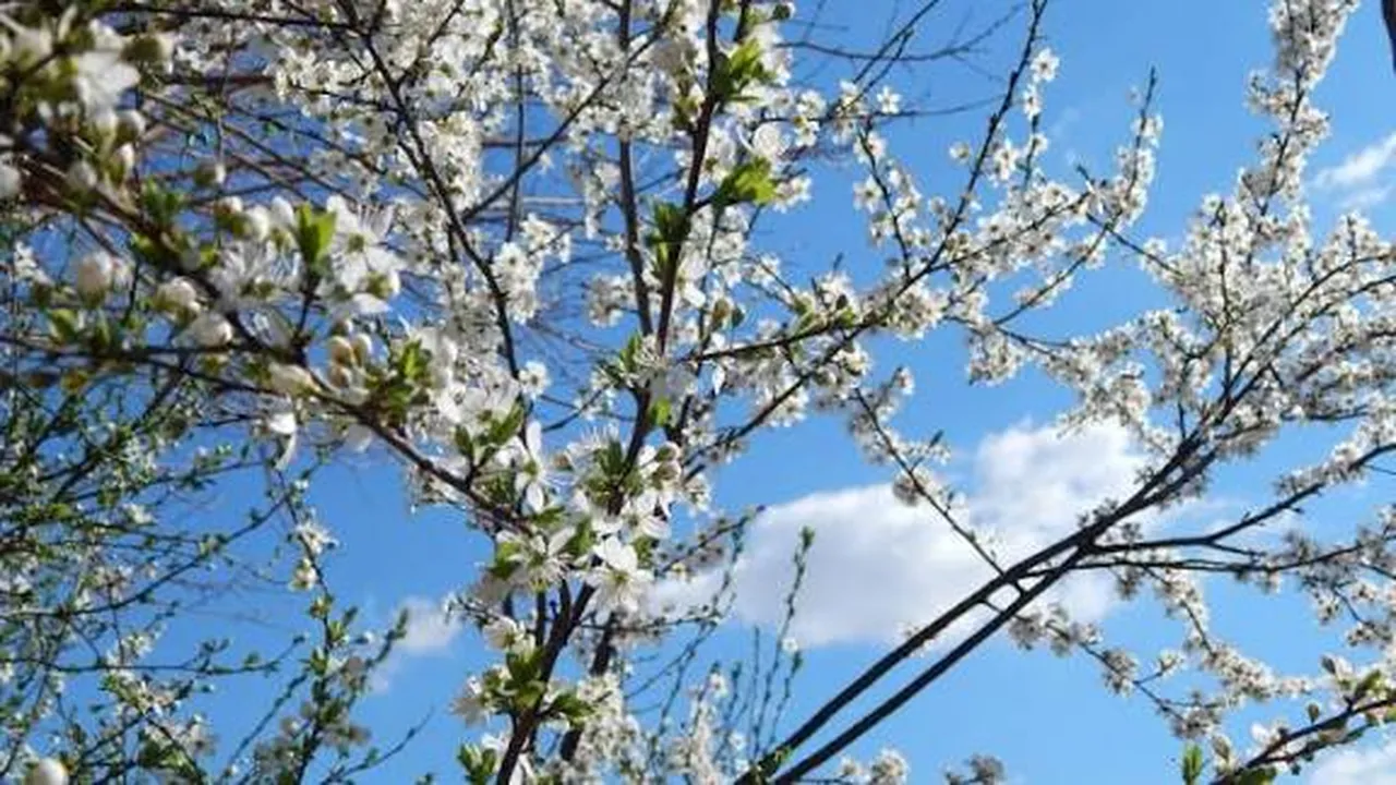 Прогноза за времето в България – понеделник, 9 март