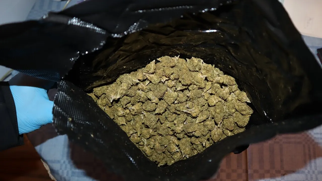 Над килограм канабис иззеха полицаи във Видин