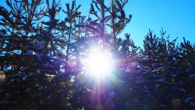 Прогноза за времето в България – четвъртък, 12 март