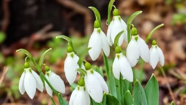 Прогноза за времето в България – петък, 13 март