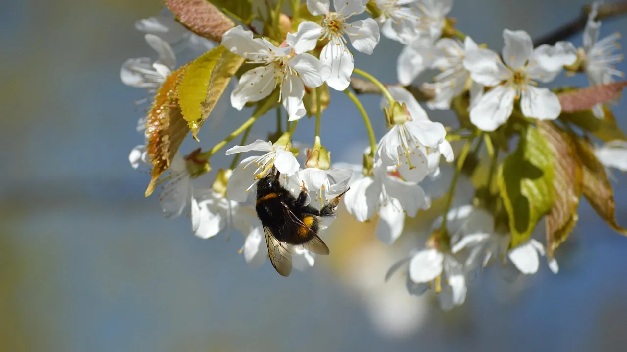 Пролетната умора: защо се чувстваме изтощени и как да възстановим енергията си
