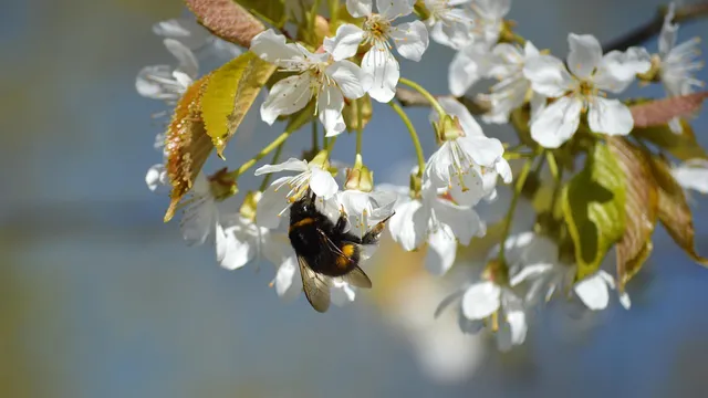 Пролетната умора: защо се чувстваме изтощени и как да възстановим енергията си