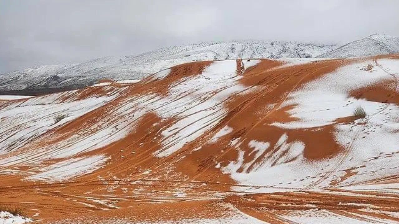 Невиждано от десетилетие: Сняг покри пясъчните дюни на Сахара