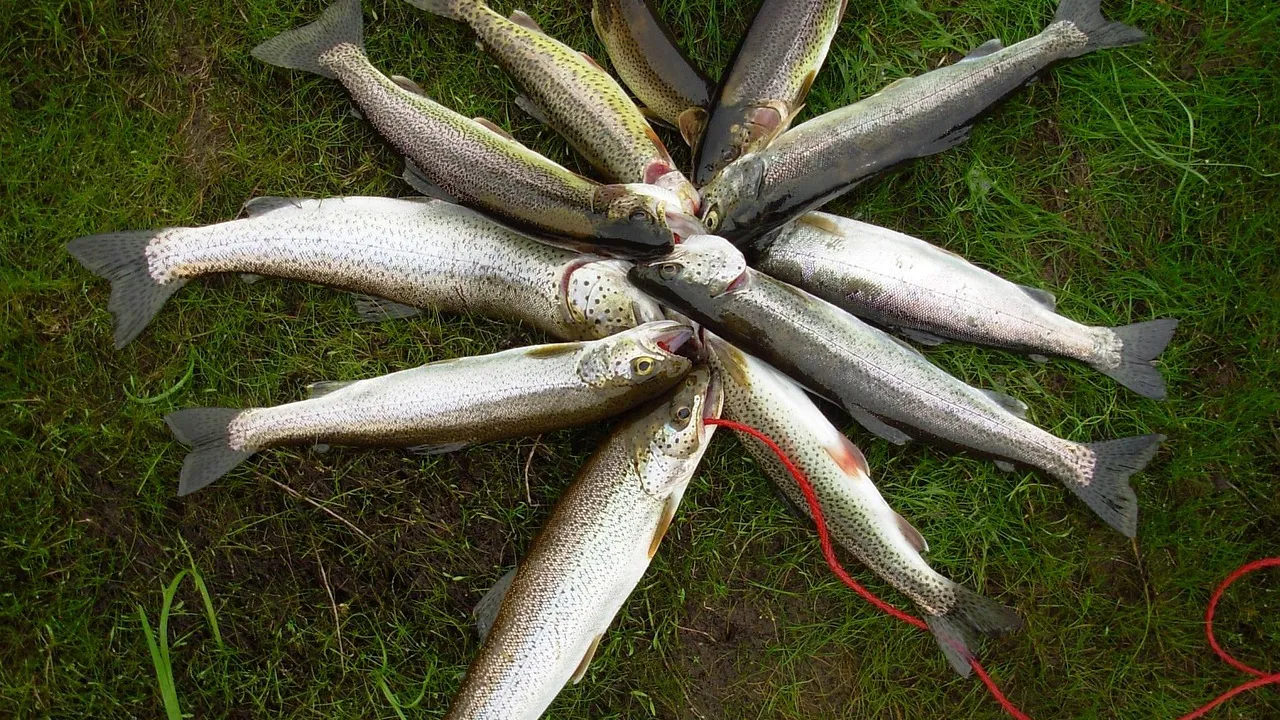 Обвиниха мъж за унищожаването на 1,5 тона пъстърва за 582 хил. евро