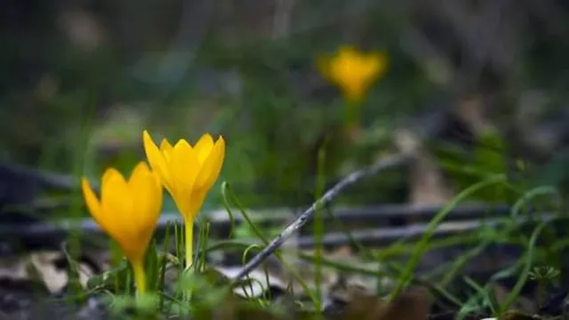 Прогноза за времето в България – събота, 14 март