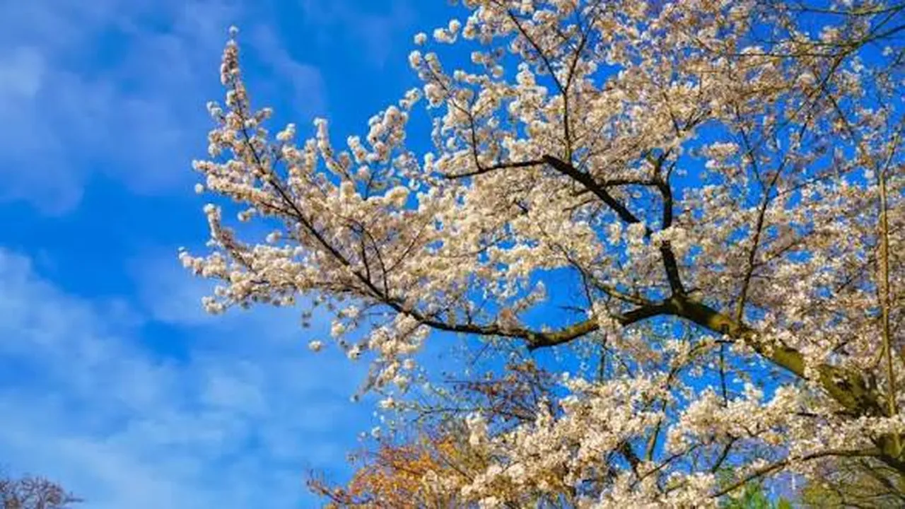 Прогноза за времето в България – неделя, 15 март