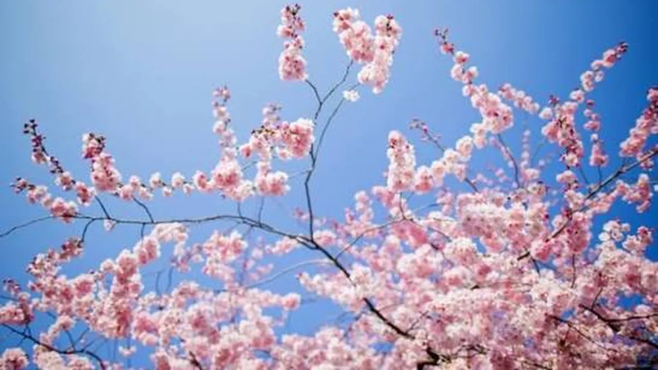 Прогноза за времето в България – понеделник, 16 март