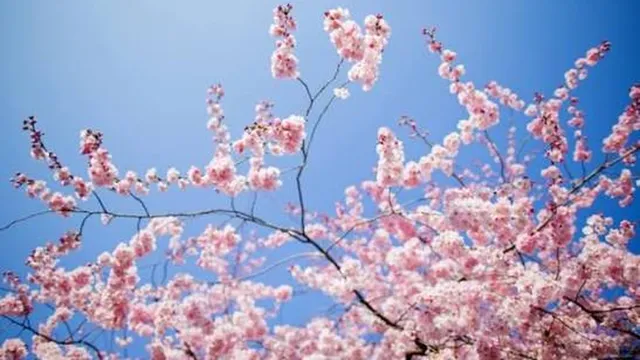 Прогноза за времето в България – понеделник, 16 март