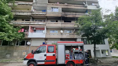 Внимание, опасни тополи: Жителите на столичния кв. "Дружба" предупреждават общината
