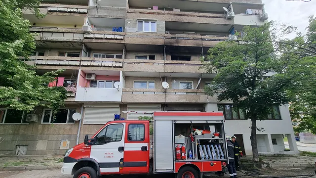 Внимание, опасни тополи: Жителите на столичния кв. "Дружба" предупреждават общината